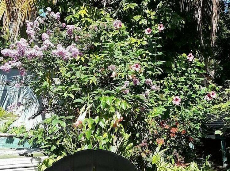 پانسیون Powell S Guesthouse