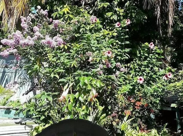 پانسیون Powell S Guesthouse