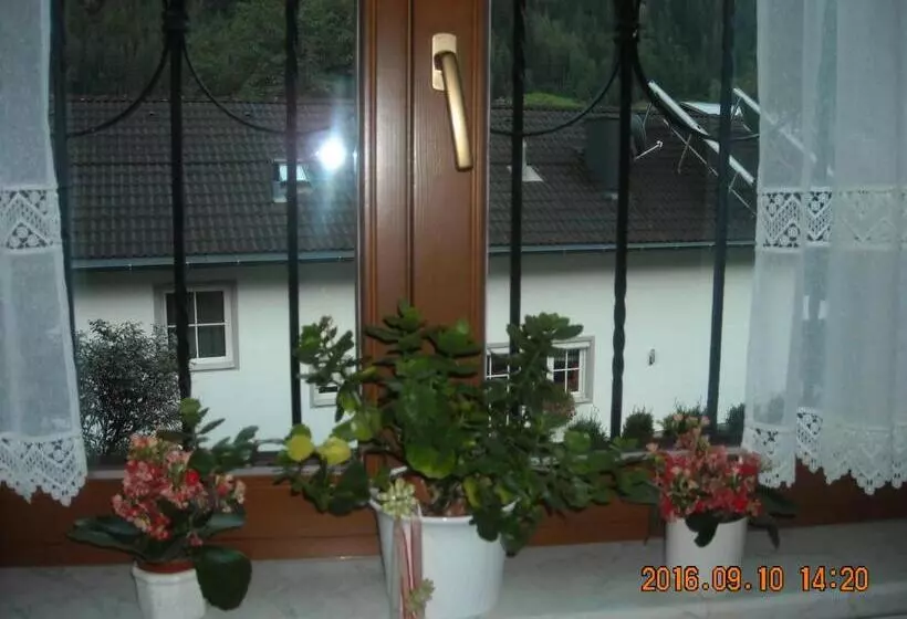 ベッドアンドブレックファースト Haus Rosi