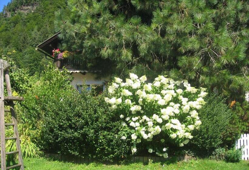 ベッドアンドブレックファースト Pension Wolf