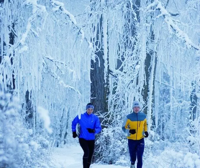 Bed and Breakfast Senner Appartements