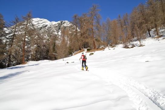 Bauernhof Unternigglerhof