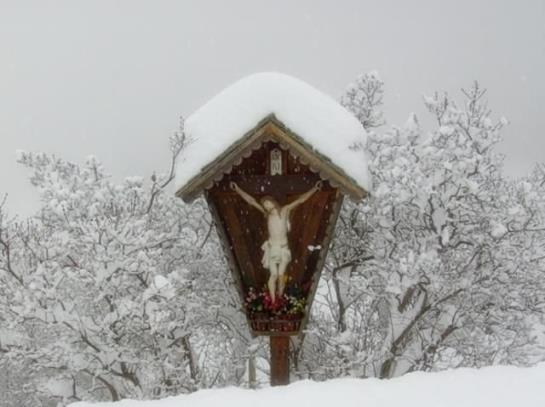 Bauernhof Unternigglerhof