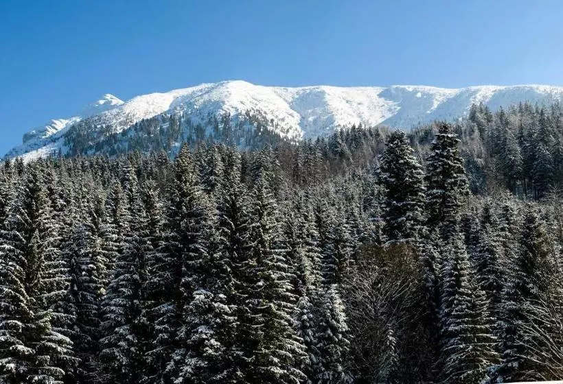 ホテル Bs ötscher