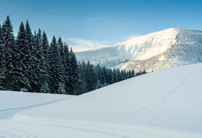 ホテル Bs ötscher