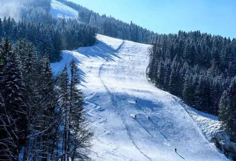 ホテル Bs ötscher