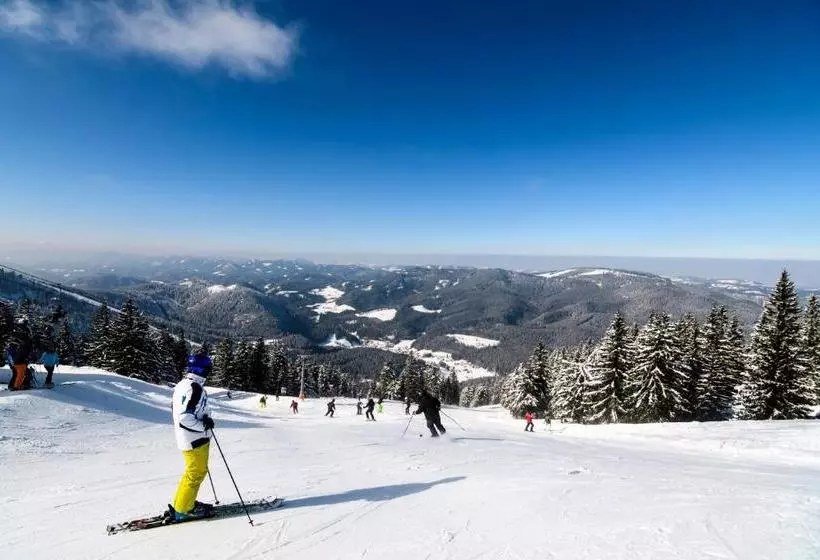 ホテル Bs ötscher