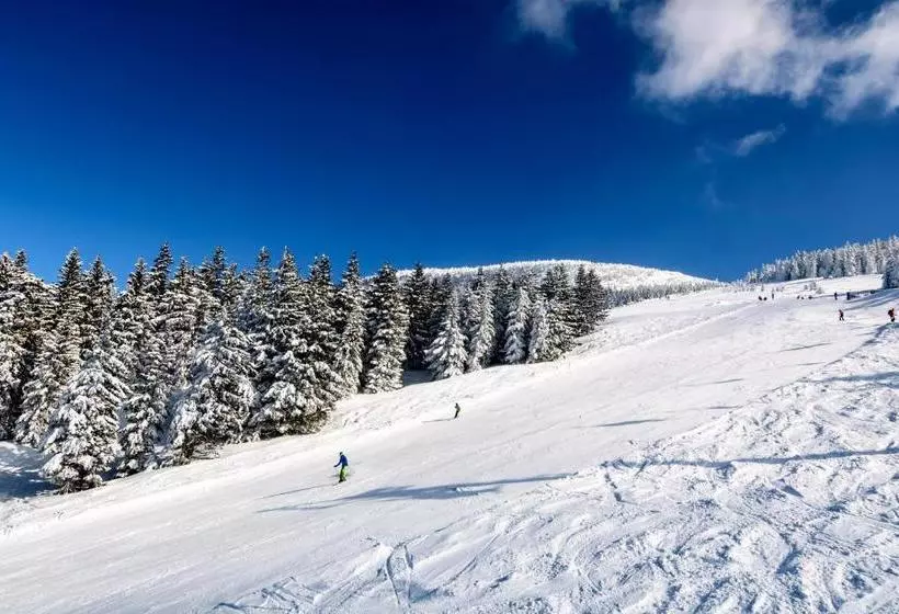 ホテル Bs ötscher