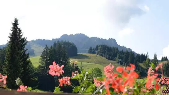 هتل Ferienhaus Hatt