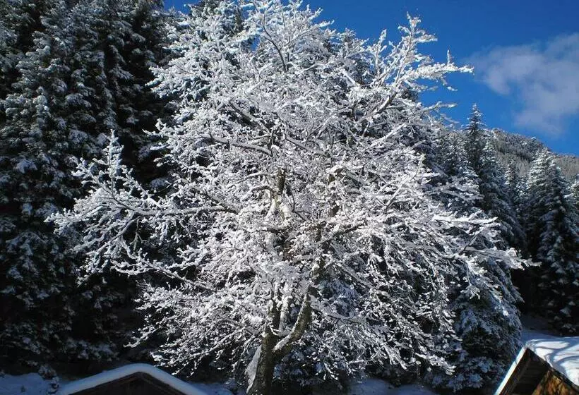 ホテル Haus Bödele