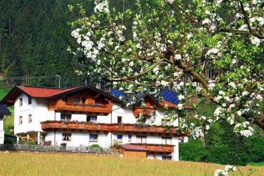 Отель Haus Veitl