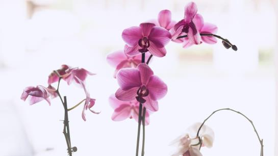 Отель Haus Walter