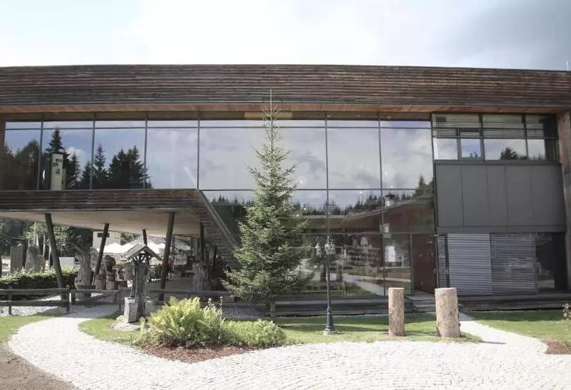 Отель Inns Holz