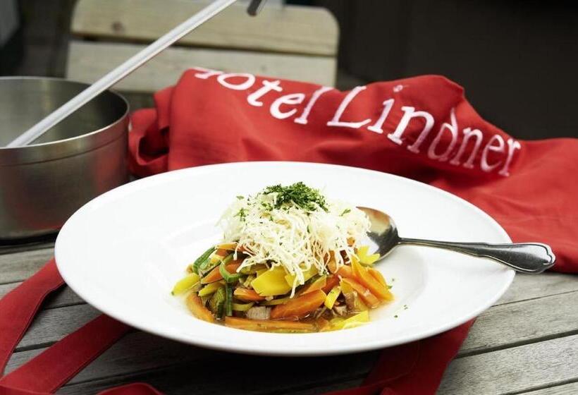 Отель Lindner