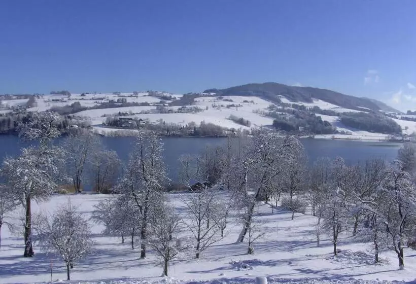 فندق Nussbaumer Am Irrsee