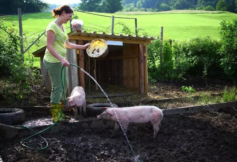 فندق Nussbaumer Am Irrsee