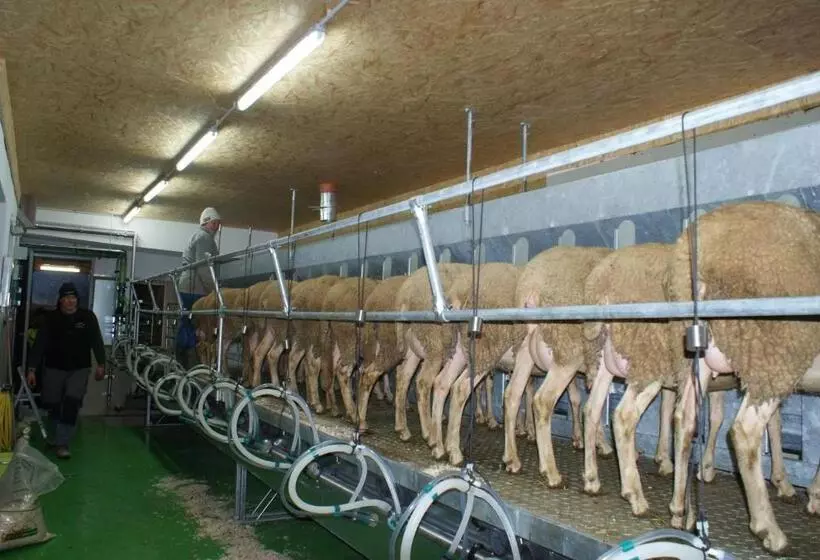 فندق Nussbaumer Am Irrsee