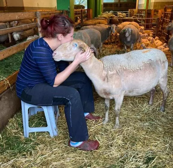 فندق Nussbaumer Am Irrsee