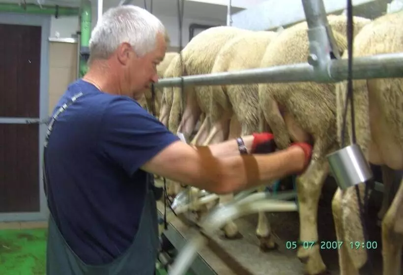 فندق Nussbaumer Am Irrsee