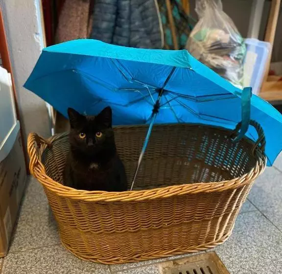 فندق Nussbaumer Am Irrsee