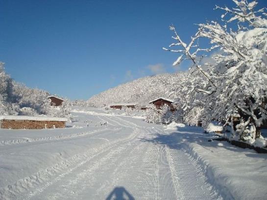 Bed and Breakfast Veronika Pension