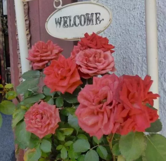 펜션 Gasthof Hotel Klammstein