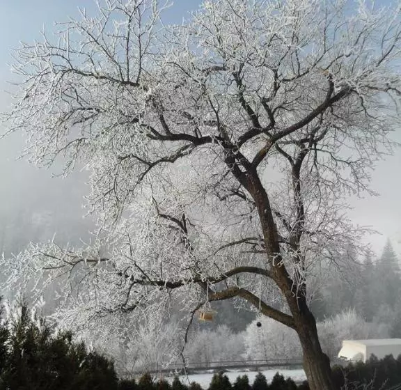 펜션 Gasthof Hotel Klammstein