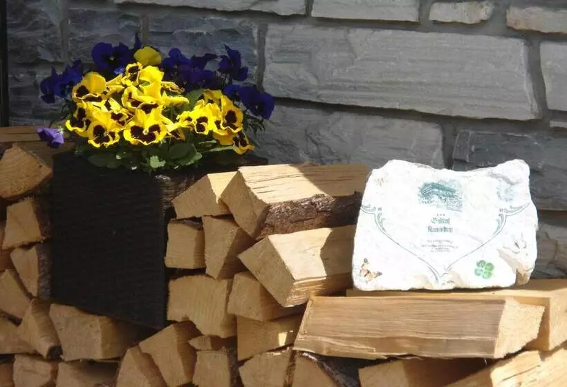 펜션 Gasthof Hotel Klammstein