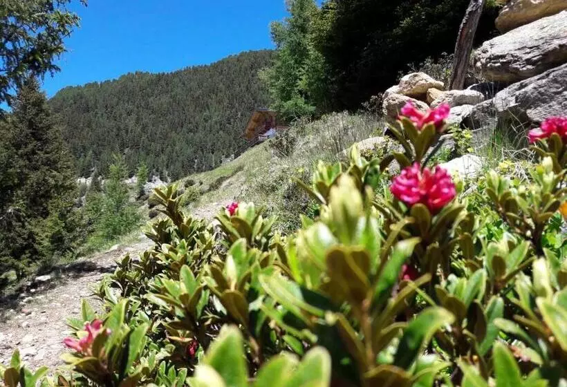 ペンション Gasthof Stuibenfall