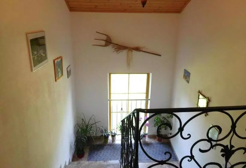 Urlaub Am Bauernhof Blamauer Köhr