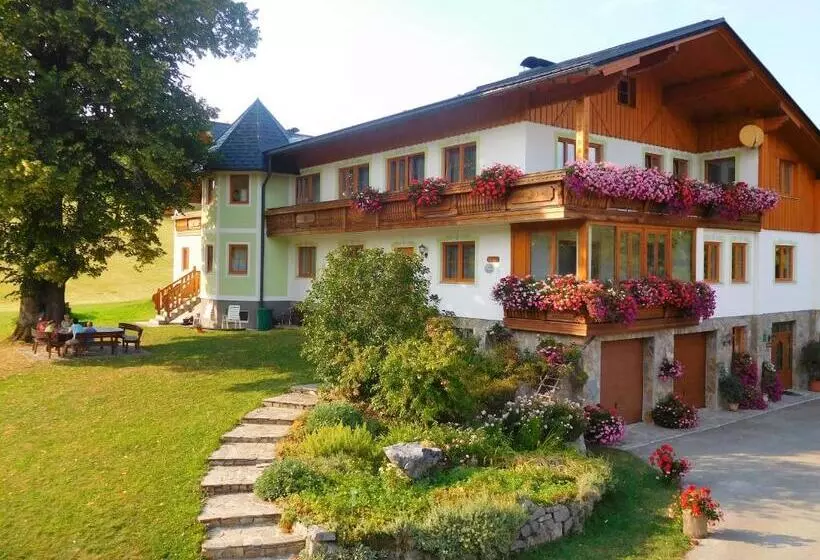Urlaub Am Bauernhof Blamauer Köhr