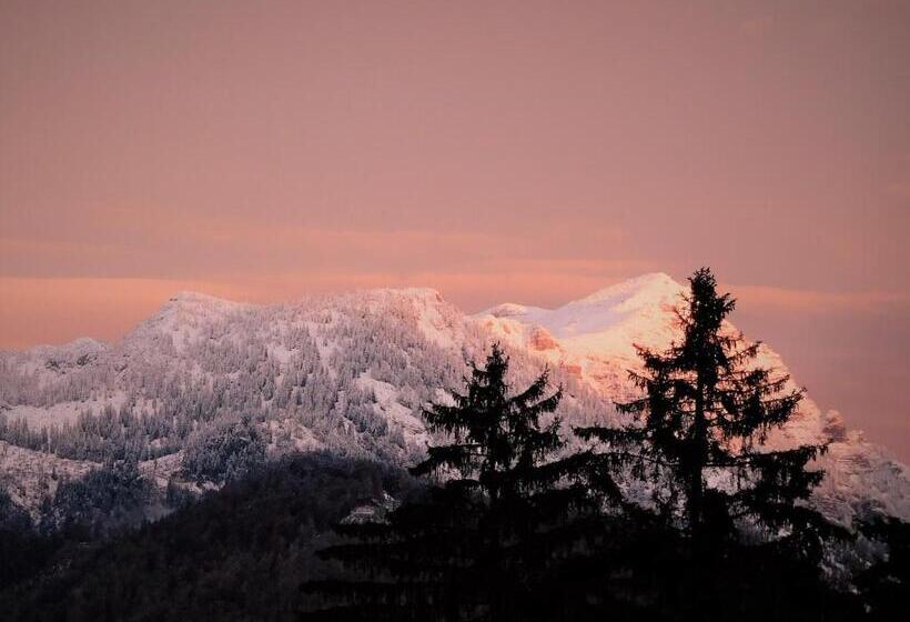 Urlaub Am Bauernhof Blamauer Köhr