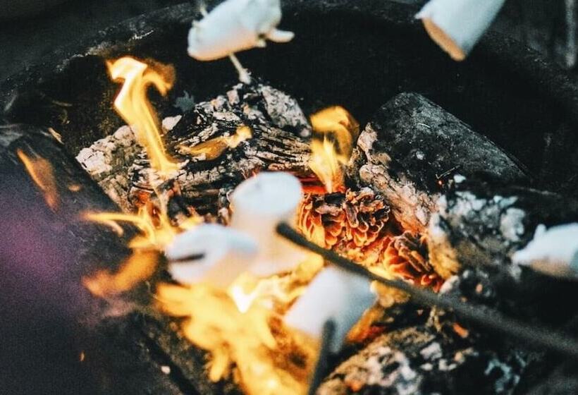 Ruschmeyers #2   Queen