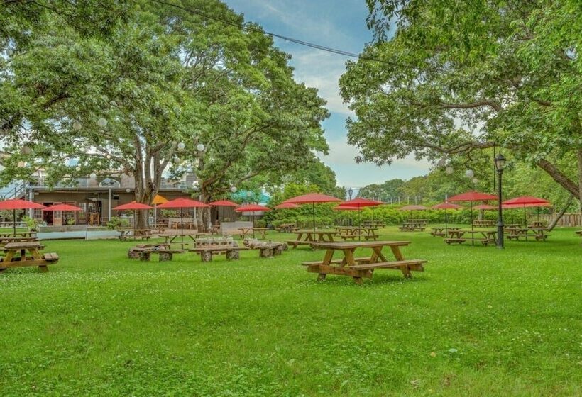 Ruschmeyers #2   Queen