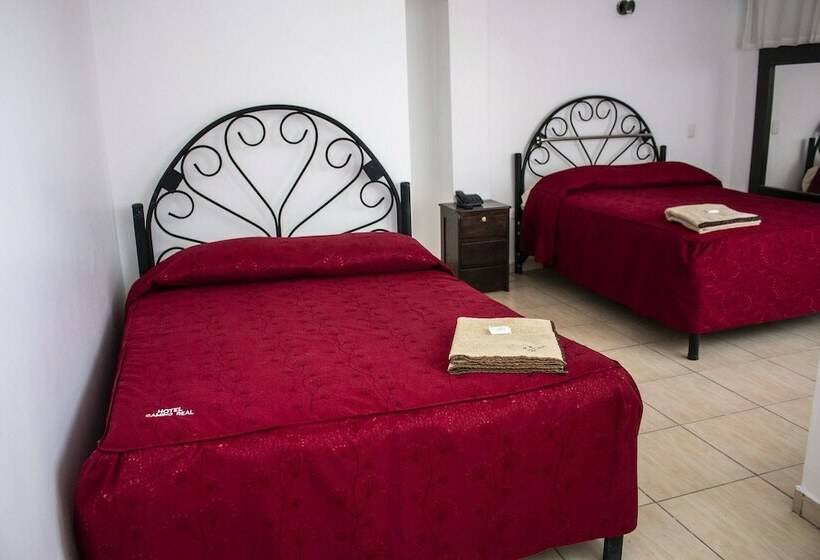 Hotel Camino Real