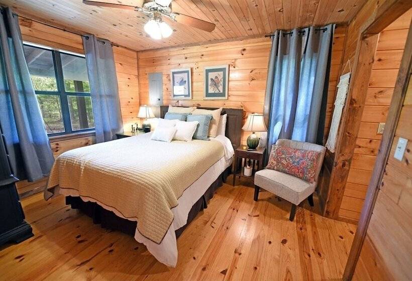 Knotty Pony Cabin Blue Ridge