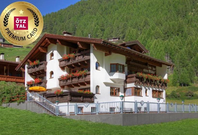 ベッドアンドブレックファースト Pension Zur Alten Mühle