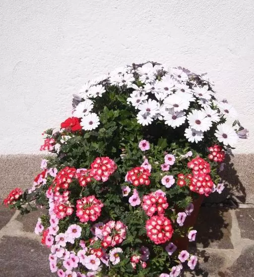 هتل Ausfernerhof