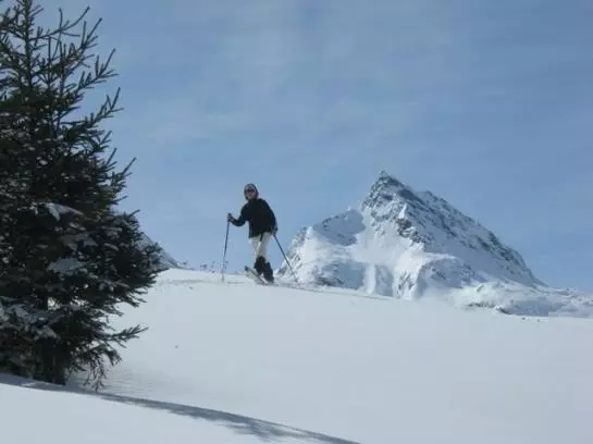 Отель Ferienhaus Salcher