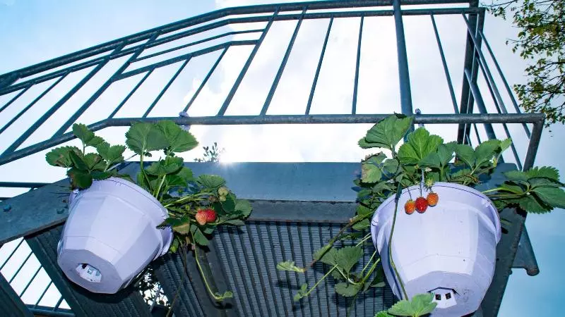 호텔 Pension Linder