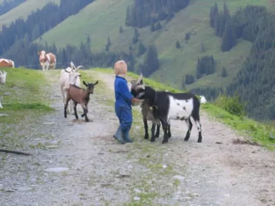 ペンション Alpengasthof Rossmoos