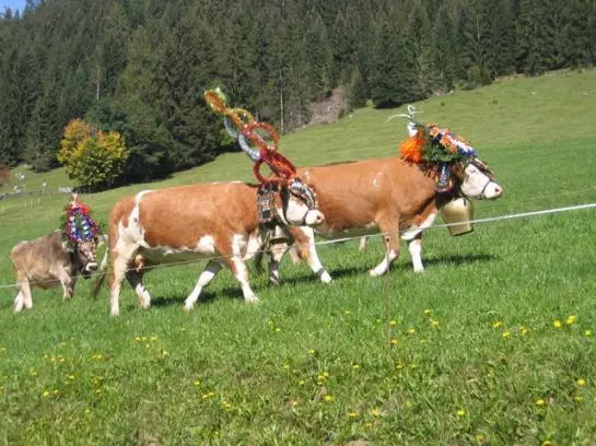 ペンション Alpengasthof Rossmoos