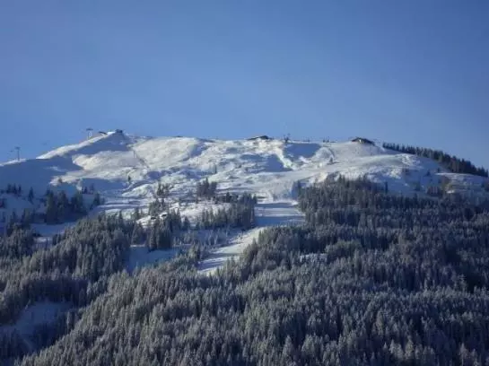 ペンション Alpengasthof Rossmoos