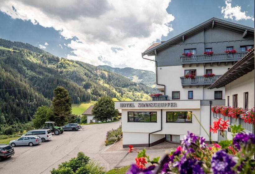 호텔 Sonnschupfer