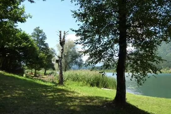 Bauernhof Fp-bauernhof Zimmermann