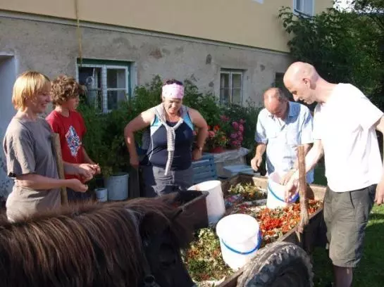 Bauernhof Walcherhof