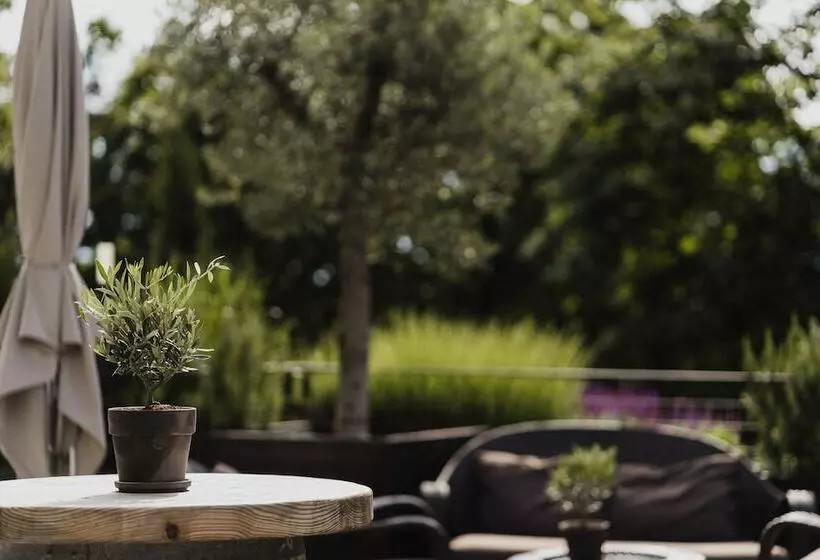 فندق Das Stachelburg