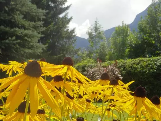 ホテル Haus Patricia