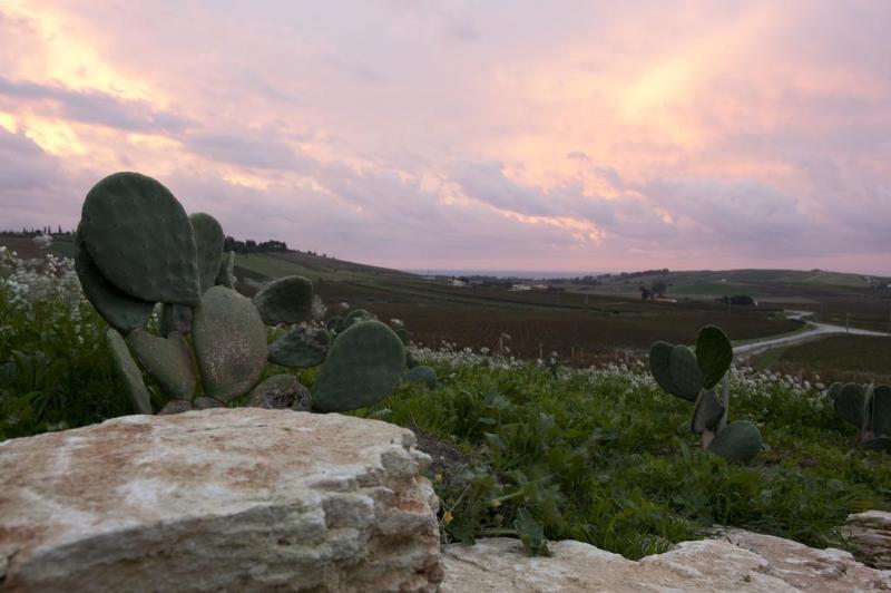 בית מלון כפרי La Foresteria Wine Resort & Beach Club