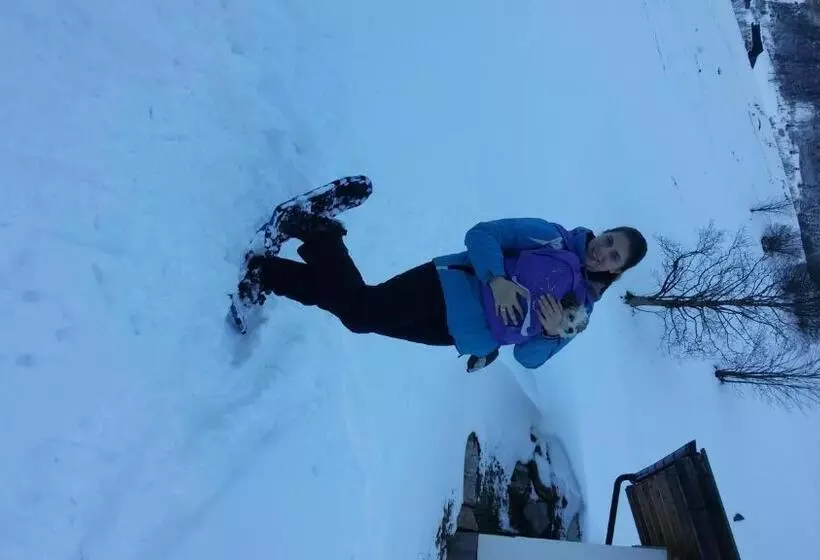 ホテル Pension Forsthof